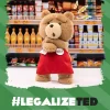 Figura de peluche de acción Ted2-ted