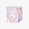 HACIPUPU La Serie Constelación – Caja Sorpresa de Peluche de Vinilo