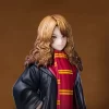 Harry Potter: Especial de Hermione de la dinastía de magos