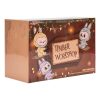 Labubu The Monsters Timber Workshop Playing on the Swing Colgante Pop Land Estuche Sellado Exclusivo (6 Cajas Sorpresa)